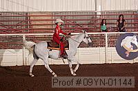 09yn-01144 proof