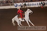 09yn-01145 proof