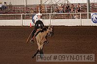 09yn-01146 proof