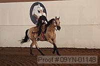 09yn-01148 proof
