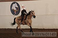 09yn-01149 proof