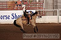 09yn-01150 proof