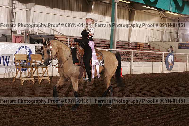 Proof 09yn-01151
