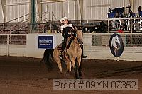 09yn-07352 proof