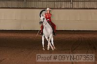 09yn-07353 proof