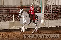 09yn-07355 proof