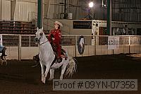 09yn-07356 proof