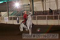 09yn-07357 proof