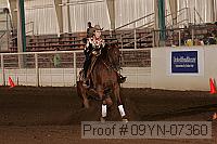 09yn-07360 proof