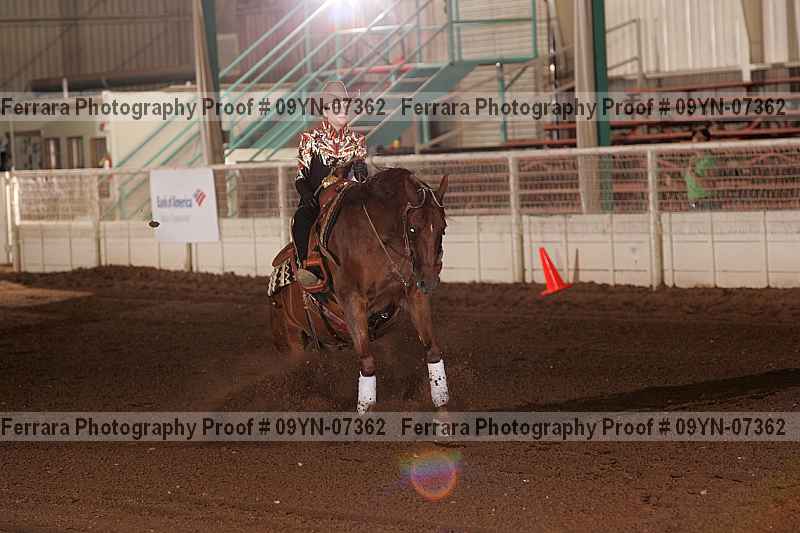 Proof 09yn-07362