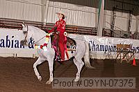 09yn-07375 proof
