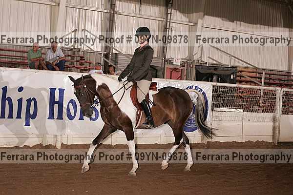 Proof 09yn-09878