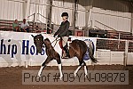 09yn-09878 proof