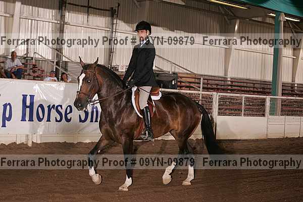 Proof 09yn-09879