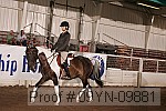 09yn-09881 proof