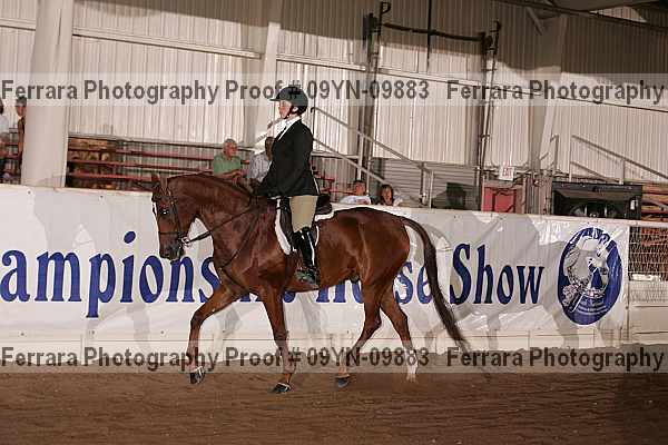 Proof 09yn-09883