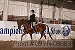 09yn-09883 proof