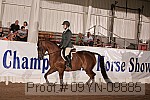 09yn-09885 proof