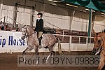 09yn-09886 proof