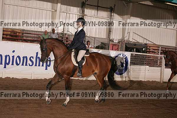 Proof 09yn-09890