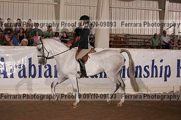 Proof 09yn-09893
