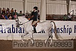 09yn-09893 proof
