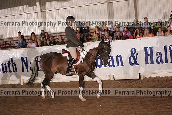 Proof 09yn-09899