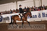 09yn-09902 proof