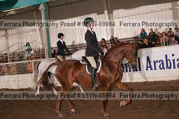 Proof 09yn-09904