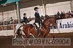 09yn-09904 proof