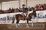 09yn-09906 proof