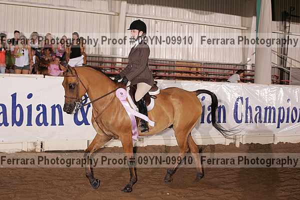 Proof 09yn-09910