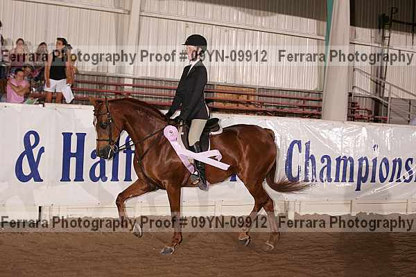 Proof 09yn-09912
