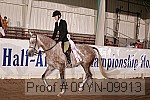 09yn-09913 proof