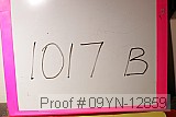 09yn-12859 proof