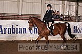 09yn-12864 proof