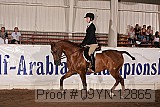 09yn-12865 proof
