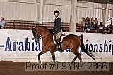 09yn-12866 proof