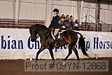 09yn-12868 proof