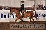09yn-12871 proof