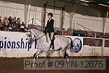 09yn-12875 proof