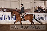 09yn-12877 proof