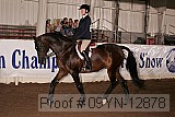 09yn-12878 proof