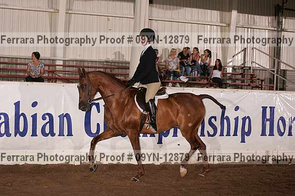 Proof 09yn-12879