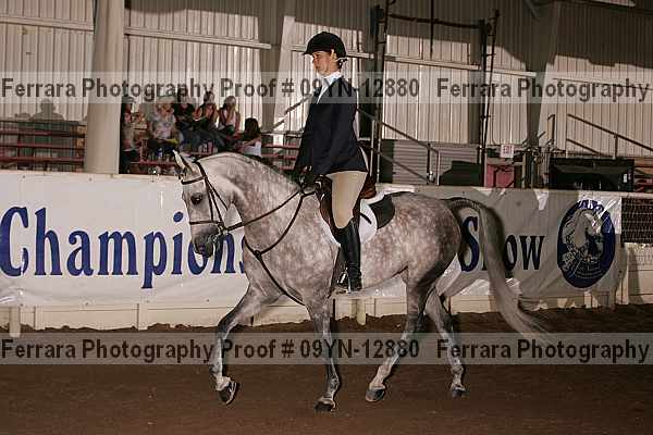 Proof 09yn-12880