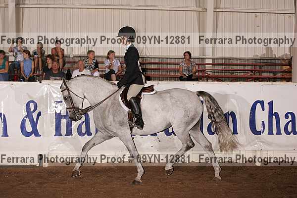 Proof 09yn-12881