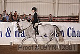 09yn-12881 proof