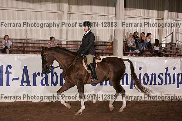 Proof 09yn-12883