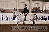 09yn-12888 proof