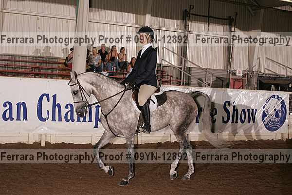 Proof 09yn-12892